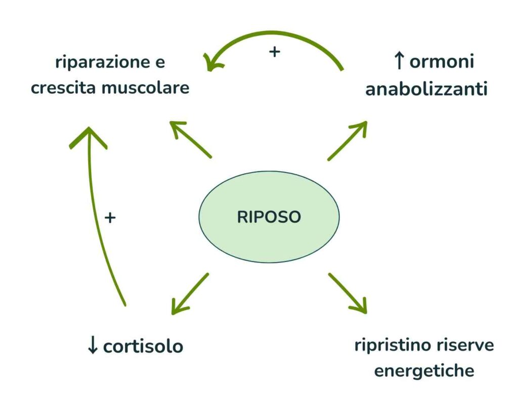 riposo MPS